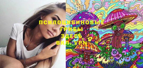 мет Богданович