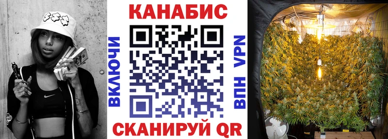 Шишки марихуана конопля  наркотики  Мурино 